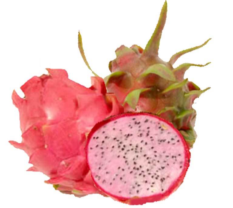 where to buy dragon fruit sugar in fruit healthy where to buy dragon fruit sugar in fruit healthy